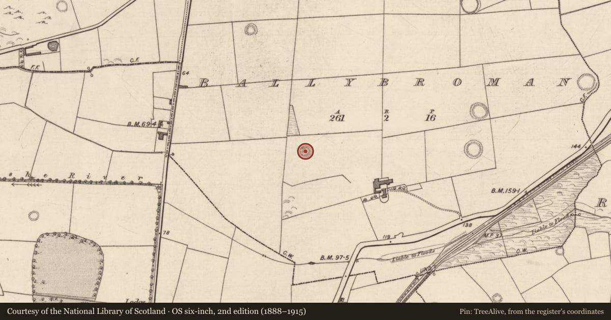 Ordnance Survey six-inch map, 2nd edition (1888–1915) covering the location of Ringfort - rath, Ballybroman, County Kerry, with a pin at the register's coordinates