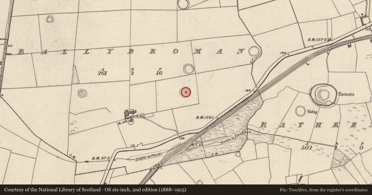 Ordnance Survey six-inch map, 2nd edition (1888–1915) covering the location of Ringfort - rath, Ballybroman, County Kerry, with a pin at the register's coordinates