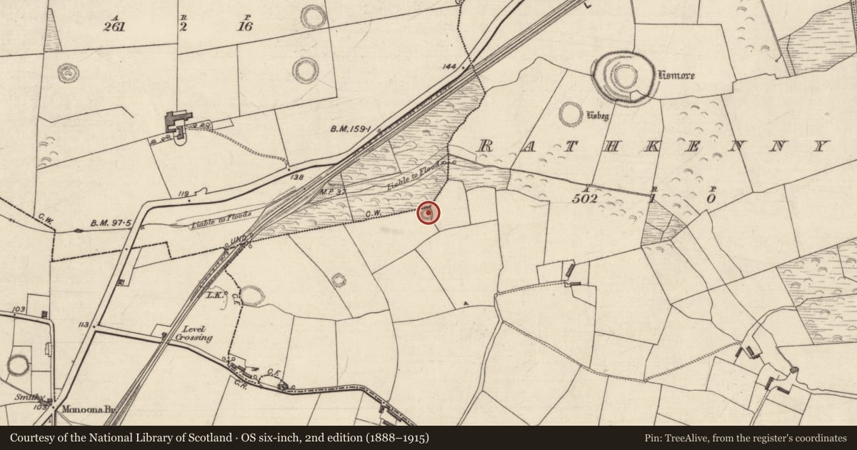 Ordnance Survey six-inch map, 2nd edition (1888–1915) covering the location of Ringfort - rath, Rathkenny, County Kerry, with a pin at the register's coordinates