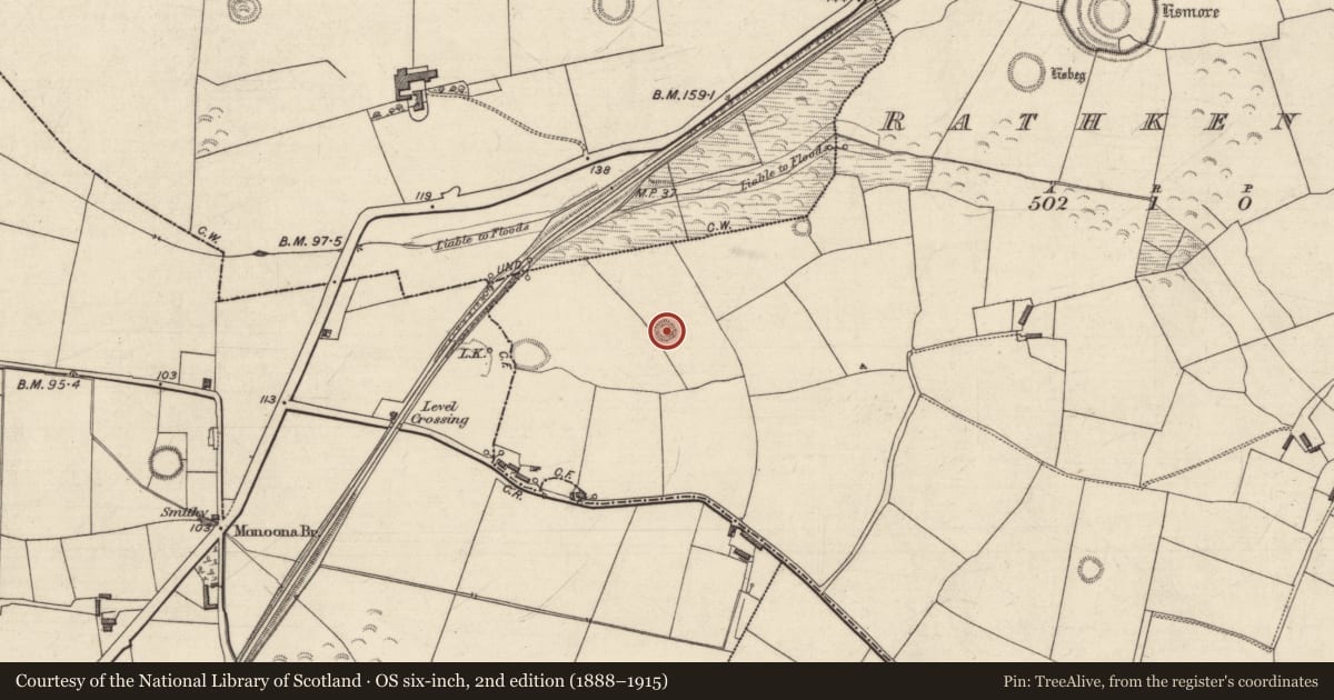 Ordnance Survey six-inch map, 2nd edition (1888–1915) covering the location of Ringfort - rath, Rathkenny, County Kerry, with a pin at the register's coordinates