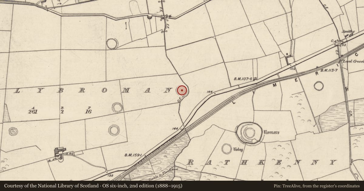 Ordnance Survey six-inch map, 2nd edition (1888–1915) covering the location of Souterrain, Ballybroman, Rathkenny, County Kerry, with a pin at the register's coordinates