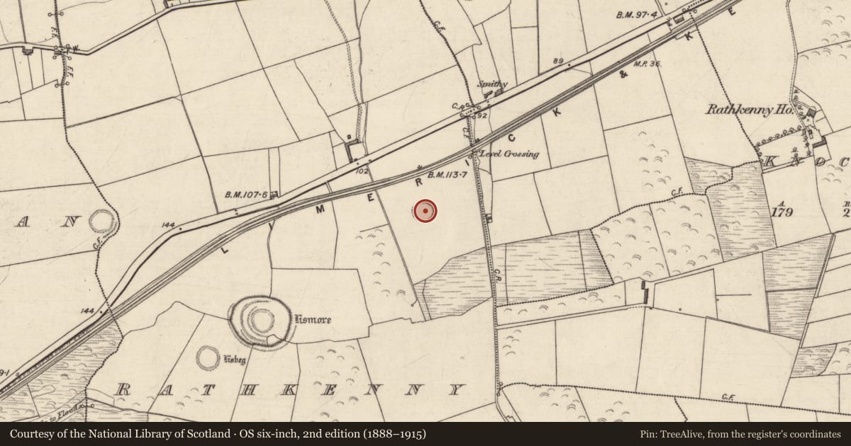 Ordnance Survey six-inch map, 2nd edition (1888–1915) covering the location of Ringfort - rath, Rathkenny, County Kerry, with a pin at the register's coordinates