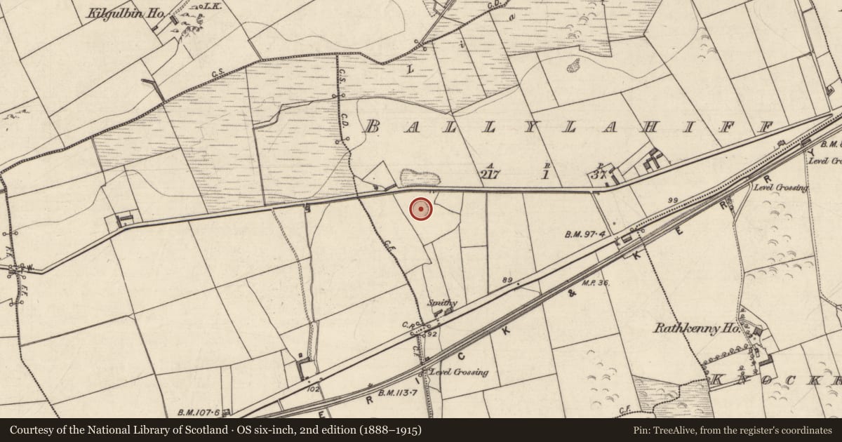 Ordnance Survey six-inch map, 2nd edition (1888–1915) covering the location of Ringfort - rath, Ballylahiff, County Kerry, with a pin at the register's coordinates