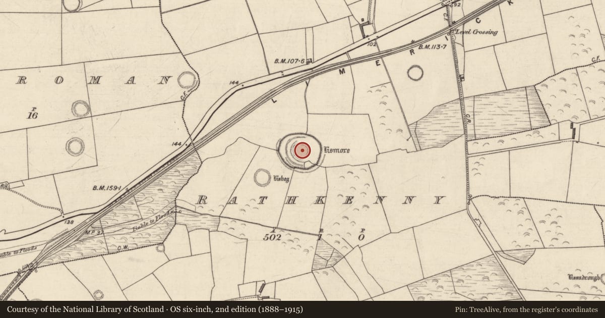 Ordnance Survey six-inch map, 2nd edition (1888–1915) covering the location of Ringfort - rath, Rathkenny, County Kerry, with a pin at the register's coordinates