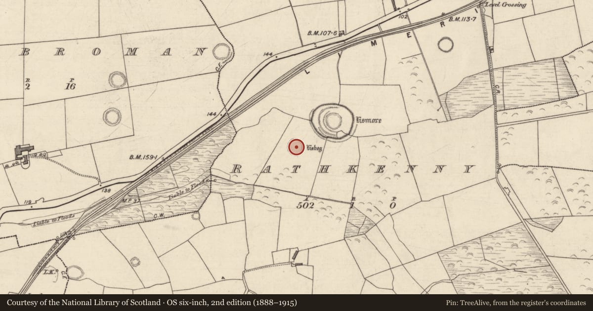 Ordnance Survey six-inch map, 2nd edition (1888–1915) covering the location of Ringfort - rath, Rathkenny, County Kerry, with a pin at the register's coordinates