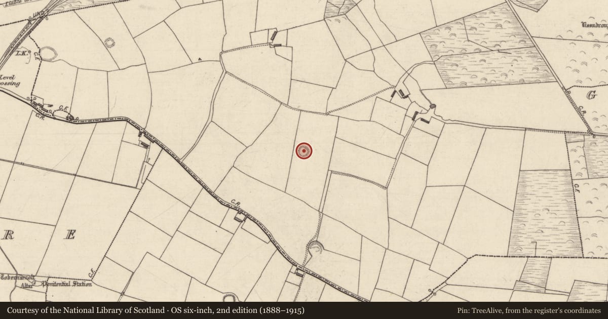 Ordnance Survey six-inch map, 2nd edition (1888–1915) covering the location of Ringfort - rath, Rathkenny, County Kerry, with a pin at the register's coordinates