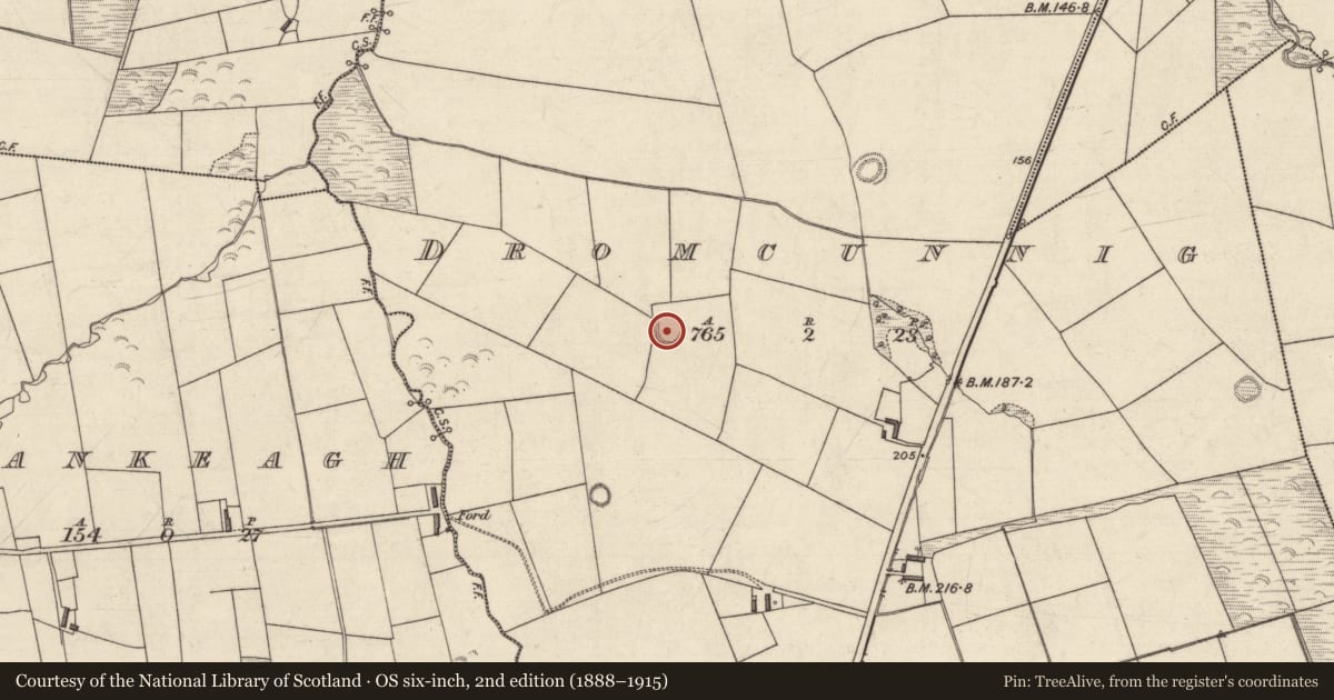 Ordnance Survey six-inch map, 2nd edition (1888–1915) covering the location of Ringfort - rath, Dromcunnig, County Kerry, with a pin at the register's coordinates