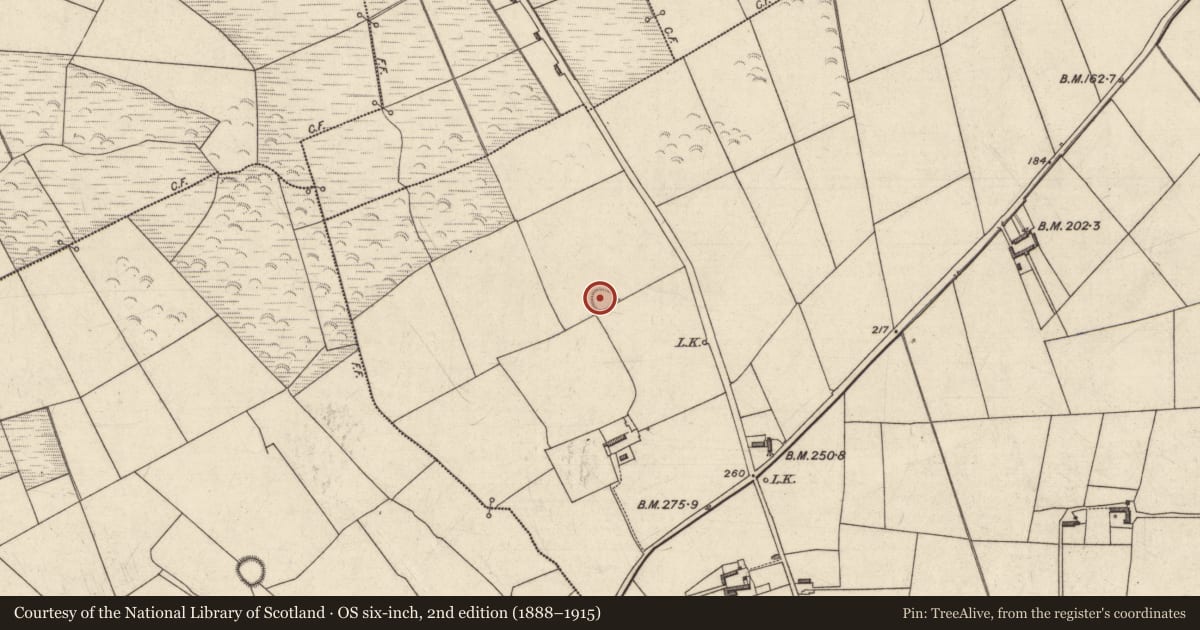 Ordnance Survey six-inch map, 2nd edition (1888–1915) covering the location of Ringfort - rath, Knocknacaska, County Kerry, with a pin at the register's coordinates