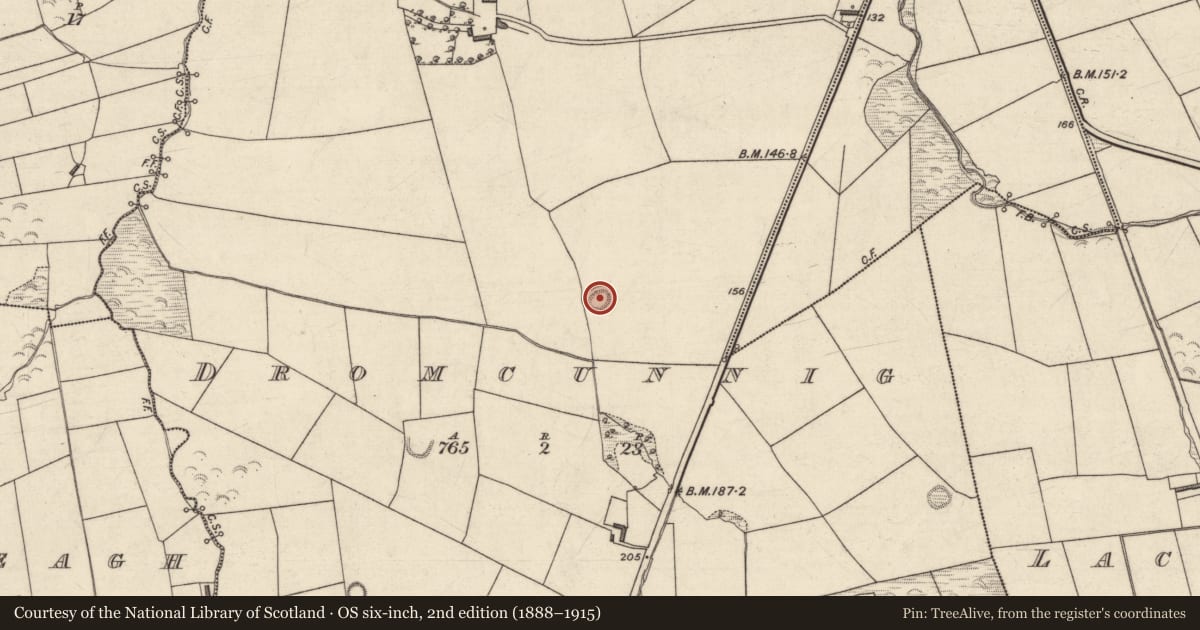 Ordnance Survey six-inch map, 2nd edition (1888–1915) covering the location of Ringfort - rath, Dromcunnig, County Kerry, with a pin at the register's coordinates