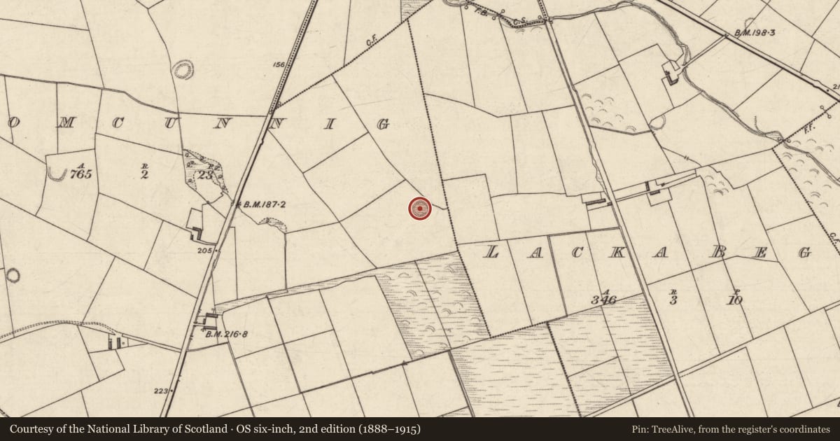 Ordnance Survey six-inch map, 2nd edition (1888–1915) covering the location of Enclosure, Dromcunnig, County Kerry, with a pin at the register's coordinates