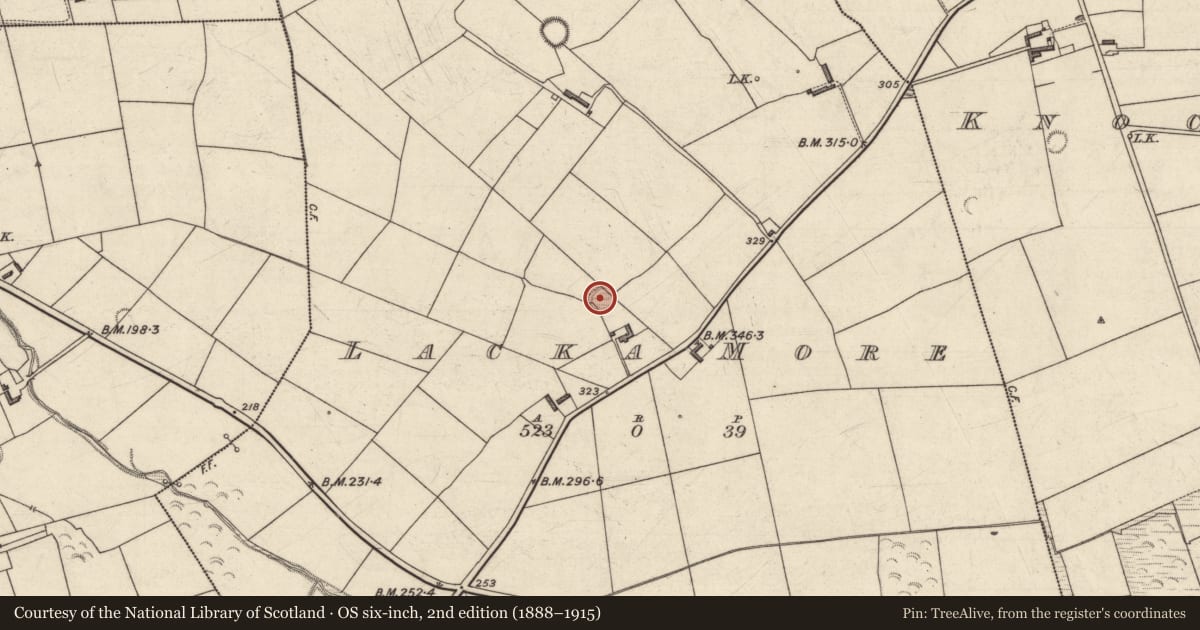 Ordnance Survey six-inch map, 2nd edition (1888–1915) covering the location of Enclosure, Lacka More, County Kerry, with a pin at the register's coordinates