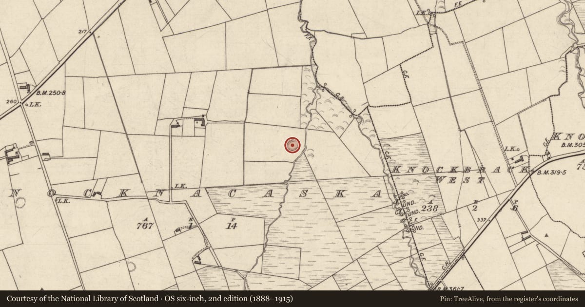Ordnance Survey six-inch map, 2nd edition (1888–1915) covering the location of Ringfort - rath, Knocknacaska, County Kerry, with a pin at the register's coordinates