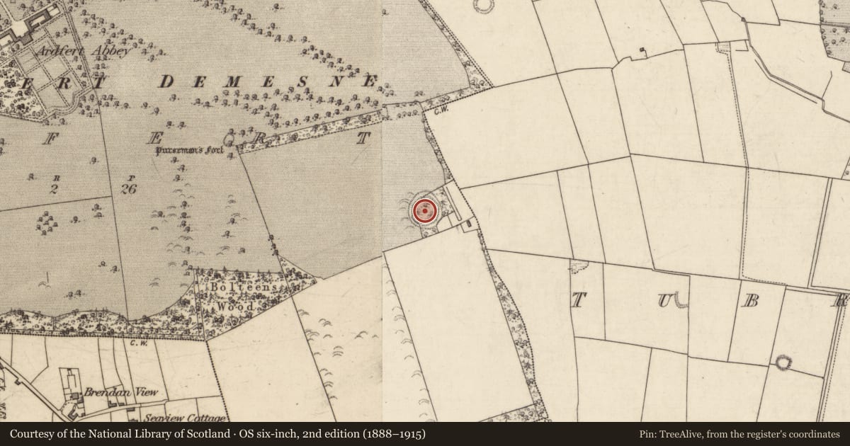 Ordnance Survey six-inch map, 2nd edition (1888–1915) covering the location of Hut site, Ardfert, County Kerry, with a pin at the register's coordinates