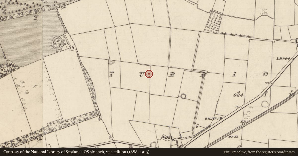 Ordnance Survey six-inch map, 2nd edition (1888–1915) covering the location of Ringfort - rath, Tubrid More, County Kerry, with a pin at the register's coordinates