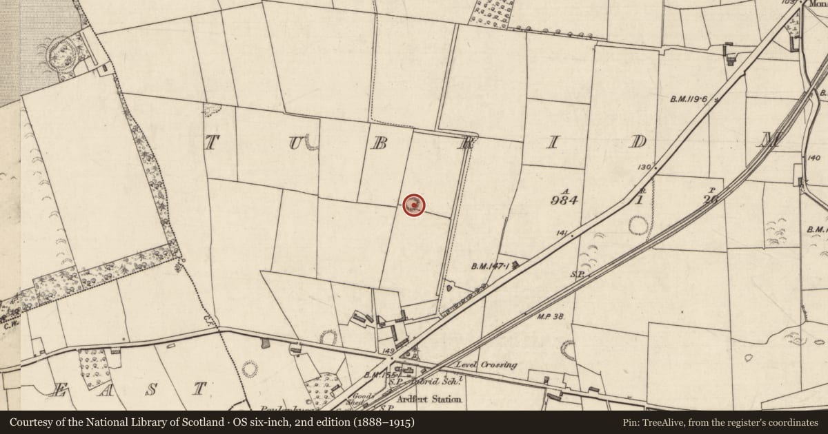 Ordnance Survey six-inch map, 2nd edition (1888–1915) covering the location of Ringfort - rath, Tubrid More, County Kerry, with a pin at the register's coordinates