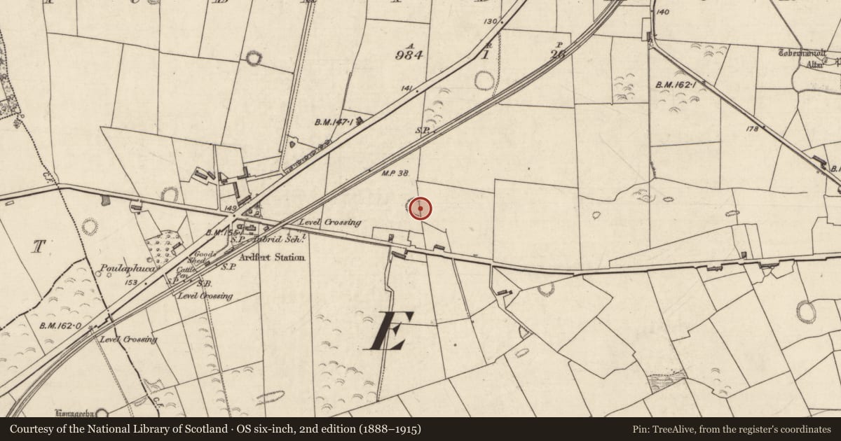 Ordnance Survey six-inch map, 2nd edition (1888–1915) covering the location of Enclosure, Tubrid More, County Kerry, with a pin at the register's coordinates