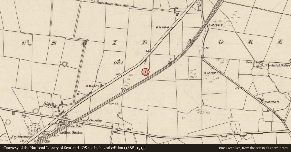 Ordnance Survey six-inch map, 2nd edition (1888–1915) covering the location of Ringfort - rath, Tubrid More, County Kerry, with a pin at the register's coordinates