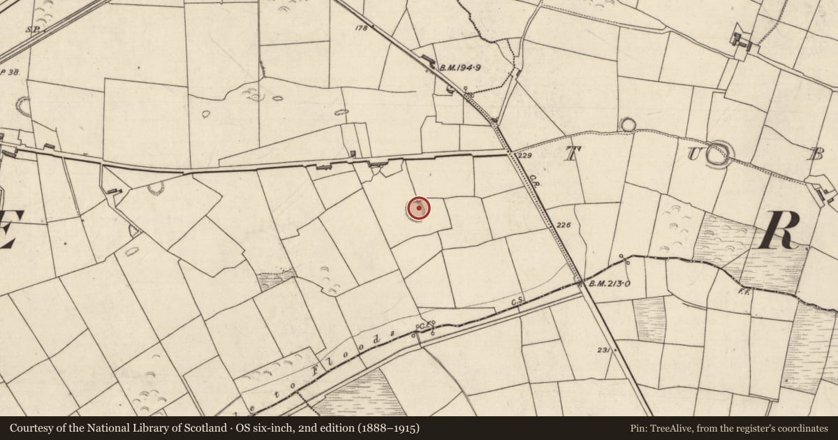 Ordnance Survey six-inch map, 2nd edition (1888–1915) covering the location of Souterrain, Tubrid More, County Kerry, with a pin at the register's coordinates