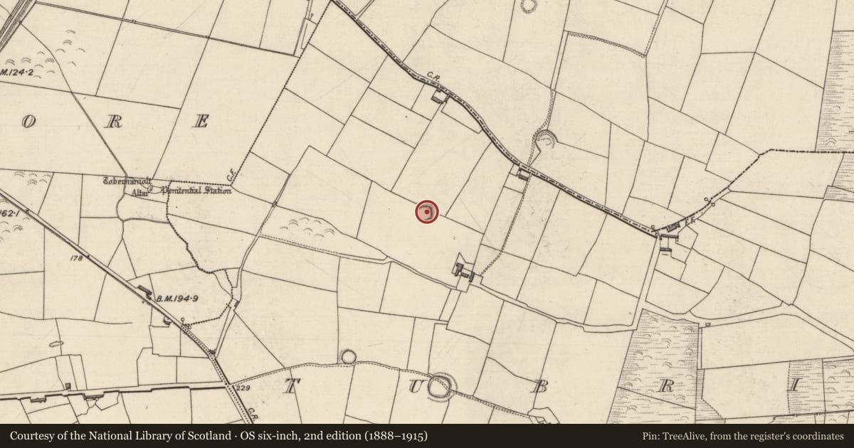 Ordnance Survey six-inch map, 2nd edition (1888–1915) covering the location of Ringfort - rath, Tubrid Beg, County Kerry, with a pin at the register's coordinates