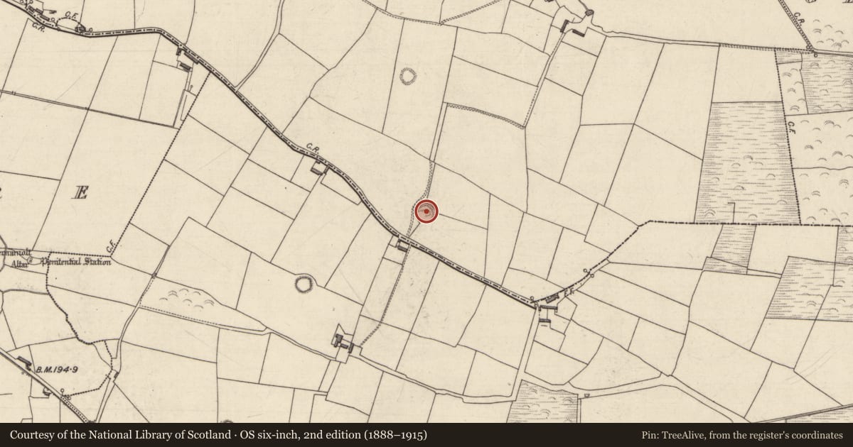 Ordnance Survey six-inch map, 2nd edition (1888–1915) covering the location of Enclosure, Rathkenny, County Kerry, with a pin at the register's coordinates