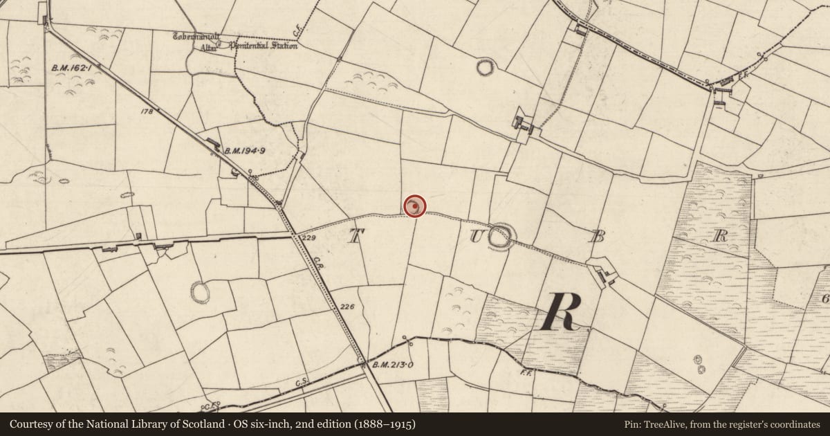 Ordnance Survey six-inch map, 2nd edition (1888–1915) covering the location of Ringfort - rath, Tubrid Beg, County Kerry, with a pin at the register's coordinates