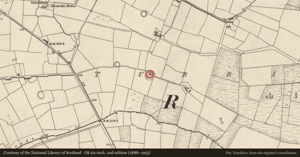 Ordnance Survey six-inch map, 2nd edition (1888–1915) covering the location of Mound, Tubrid Beg, County Kerry, with a pin at the register's coordinates