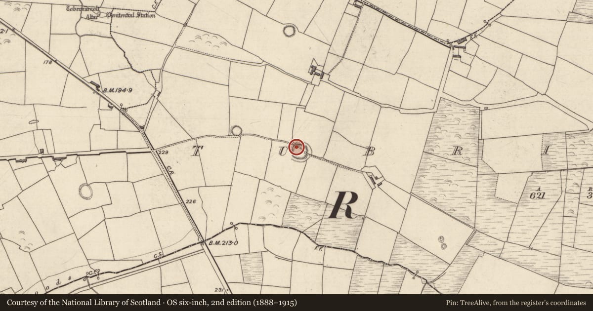 Ordnance Survey six-inch map, 2nd edition (1888–1915) covering the location of Ogham stone, Tubrid Beg, County Kerry, with a pin at the register's coordinates
