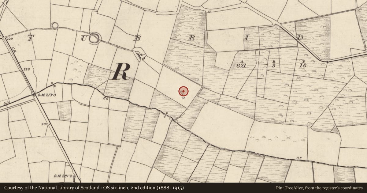 Ordnance Survey six-inch map, 2nd edition (1888–1915) covering the location of Barrow - ring-barrow, Tubrid Beg, County Kerry, with a pin at the register's coordinates