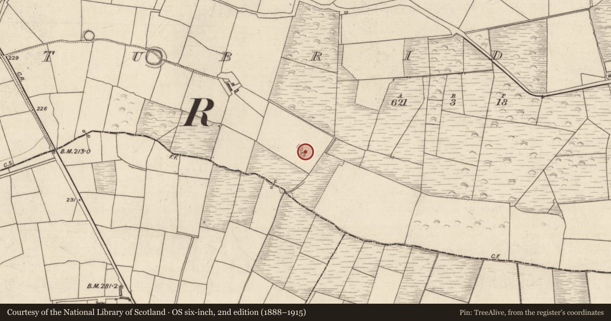 Ordnance Survey six-inch map, 2nd edition (1888–1915) covering the location of Barrow - ring-barrow, Tubrid Beg, County Kerry, with a pin at the register's coordinates