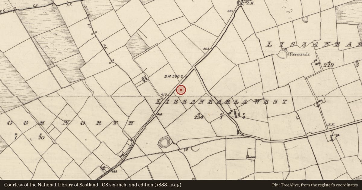 Ordnance Survey six-inch map, 2nd edition (1888–1915) covering the location of Enclosure, Lissanearla West, County Kerry, with a pin at the register's coordinates