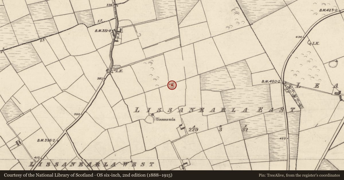 Ordnance Survey six-inch map, 2nd edition (1888–1915) covering the location of Ringfort - rath, Lissanearla East, County Kerry, with a pin at the register's coordinates