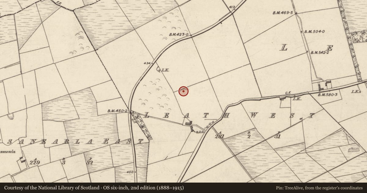 Ordnance Survey six-inch map, 2nd edition (1888–1915) covering the location of Hut site, Leath West, County Kerry, with a pin at the register's coordinates