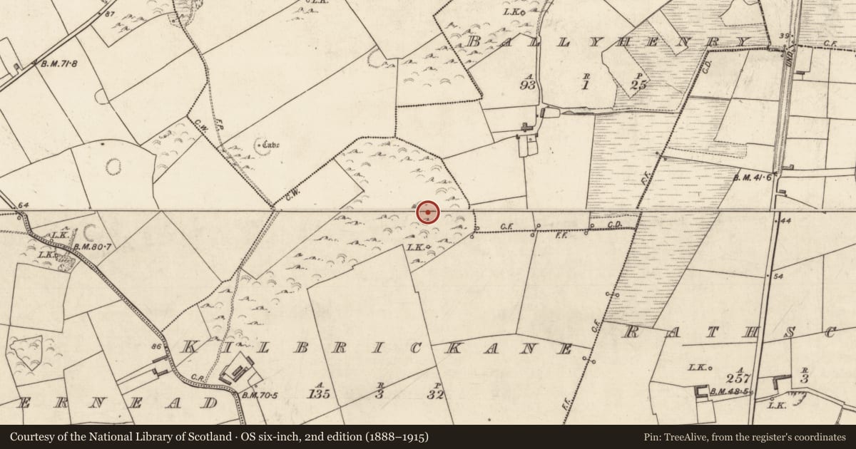 Ordnance Survey six-inch map, 2nd edition (1888–1915) covering the location of Enclosure, Kilbrickane, County Kerry, with a pin at the register's coordinates