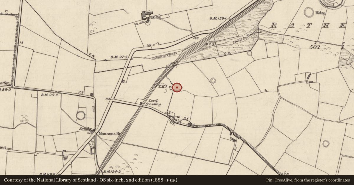 Ordnance Survey six-inch map, 2nd edition (1888–1915) covering the location of Enclosure, Rathkenny, Tubrid More, County Kerry, with a pin at the register's coordinates