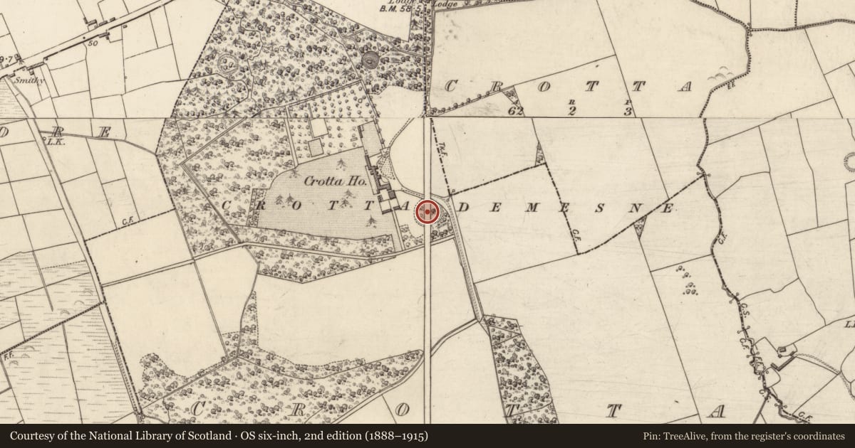 Ordnance Survey six-inch map, 2nd edition (1888–1915) covering the location of Ringfort - rath, Crotta (Clanmaurice By., Kilflyn Par.), County Kerry, with a pin at the register's coordinates