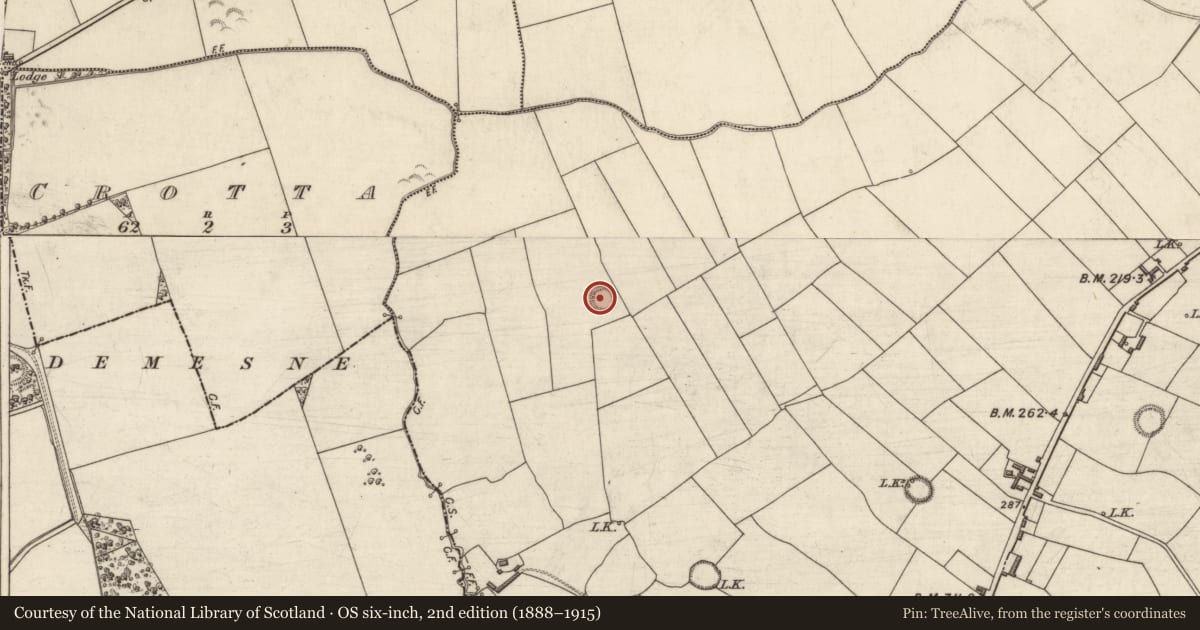 Ordnance Survey six-inch map, 2nd edition (1888–1915) covering the location of Ringfort - rath, Tullig, County Kerry, with a pin at the register's coordinates