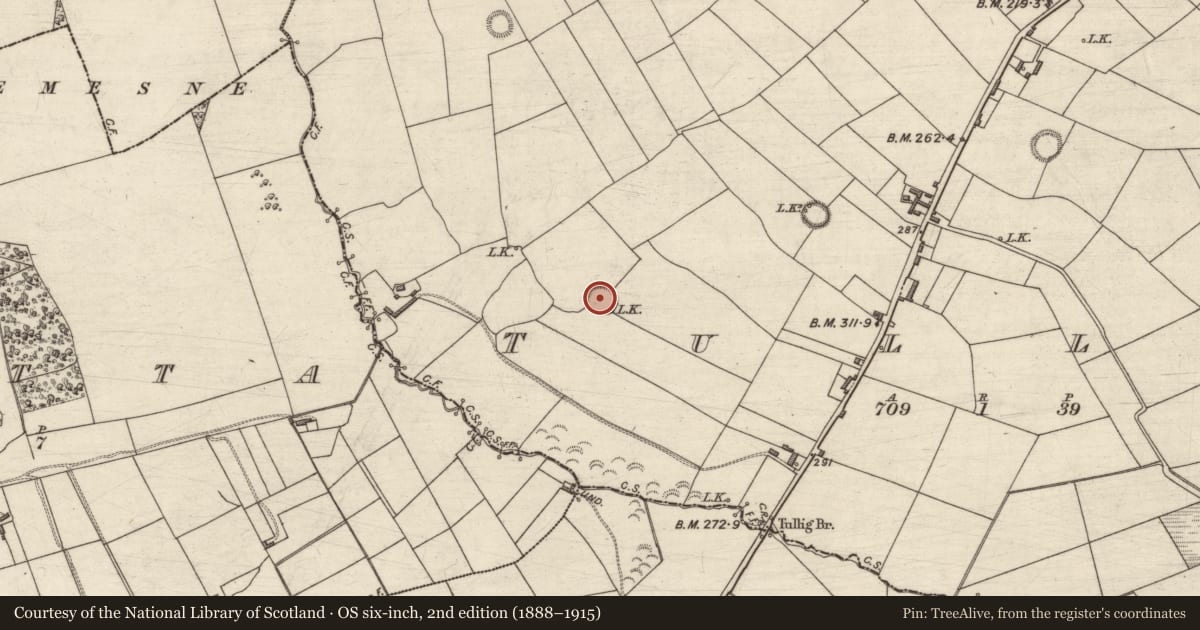 Ordnance Survey six-inch map, 2nd edition (1888–1915) covering the location of Ringfort - rath, Tullig, County Kerry, with a pin at the register's coordinates