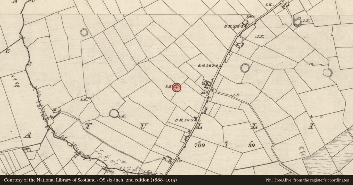 Ordnance Survey six-inch map, 2nd edition (1888–1915) covering the location of Ringfort - rath, Tullig, County Kerry, with a pin at the register's coordinates