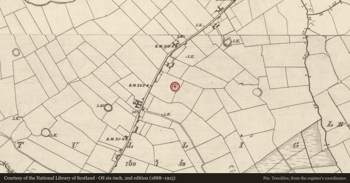 Ordnance Survey six-inch map, 2nd edition (1888–1915) covering the location of Ringfort - rath, Tullig, County Kerry, with a pin at the register's coordinates