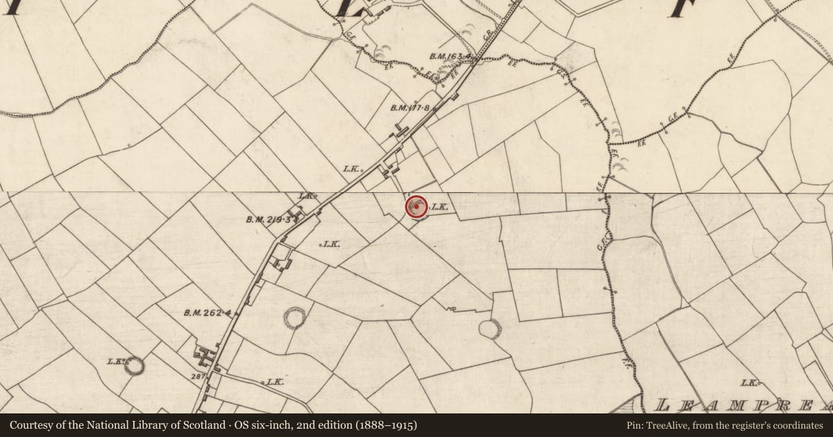 Ordnance Survey six-inch map, 2nd edition (1888–1915) covering the location of Ringfort - rath, Tullig, County Kerry, with a pin at the register's coordinates