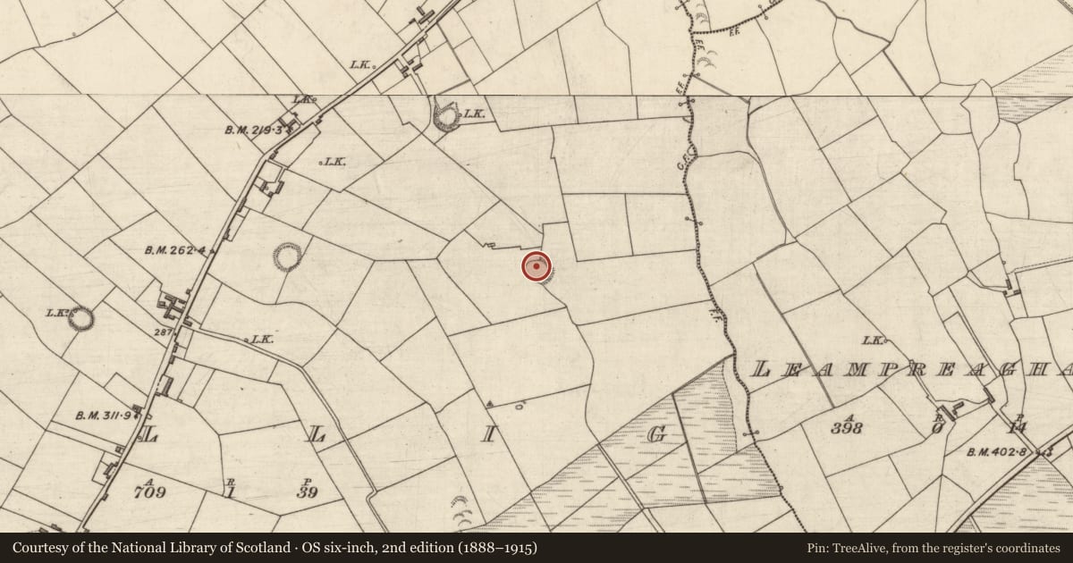 Ordnance Survey six-inch map, 2nd edition (1888–1915) covering the location of Ringfort - rath, Tullig, County Kerry, with a pin at the register's coordinates