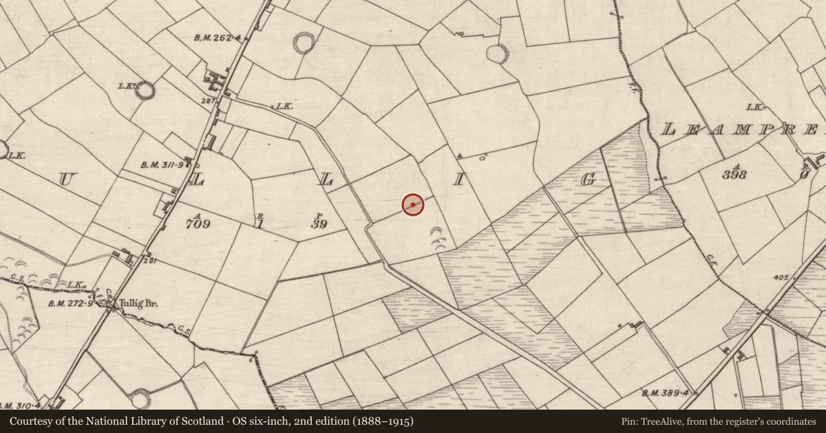 Ordnance Survey six-inch map, 2nd edition (1888–1915) covering the location of Fulacht fia, Tullig, County Kerry, with a pin at the register's coordinates