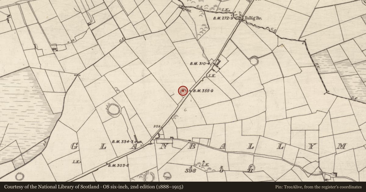 Ordnance Survey six-inch map, 2nd edition (1888–1915) covering the location of Enclosure, Glanballyma, County Kerry, with a pin at the register's coordinates