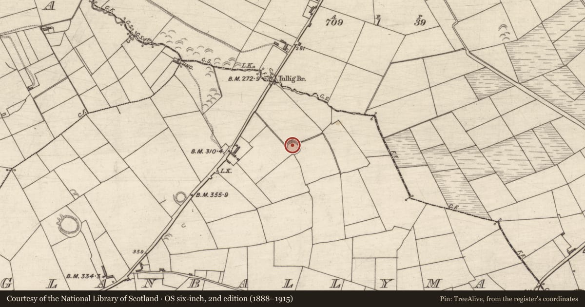 Ordnance Survey six-inch map, 2nd edition (1888–1915) covering the location of Ringfort - rath, Glanballyma, County Kerry, with a pin at the register's coordinates