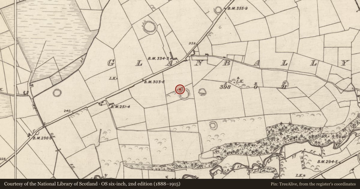 Ordnance Survey six-inch map, 2nd edition (1888–1915) covering the location of Kiln, Glanballyma, County Kerry, with a pin at the register's coordinates