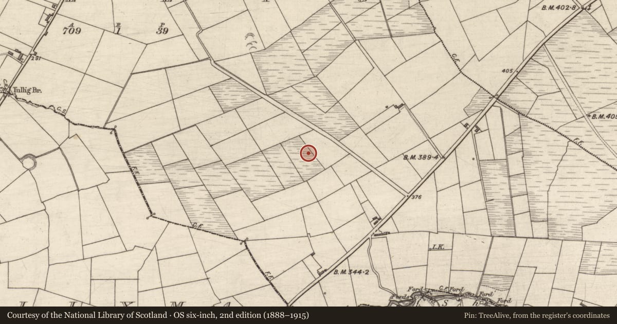 Ordnance Survey six-inch map, 2nd edition (1888–1915) covering the location of Standing stone, Tullig, County Kerry, with a pin at the register's coordinates