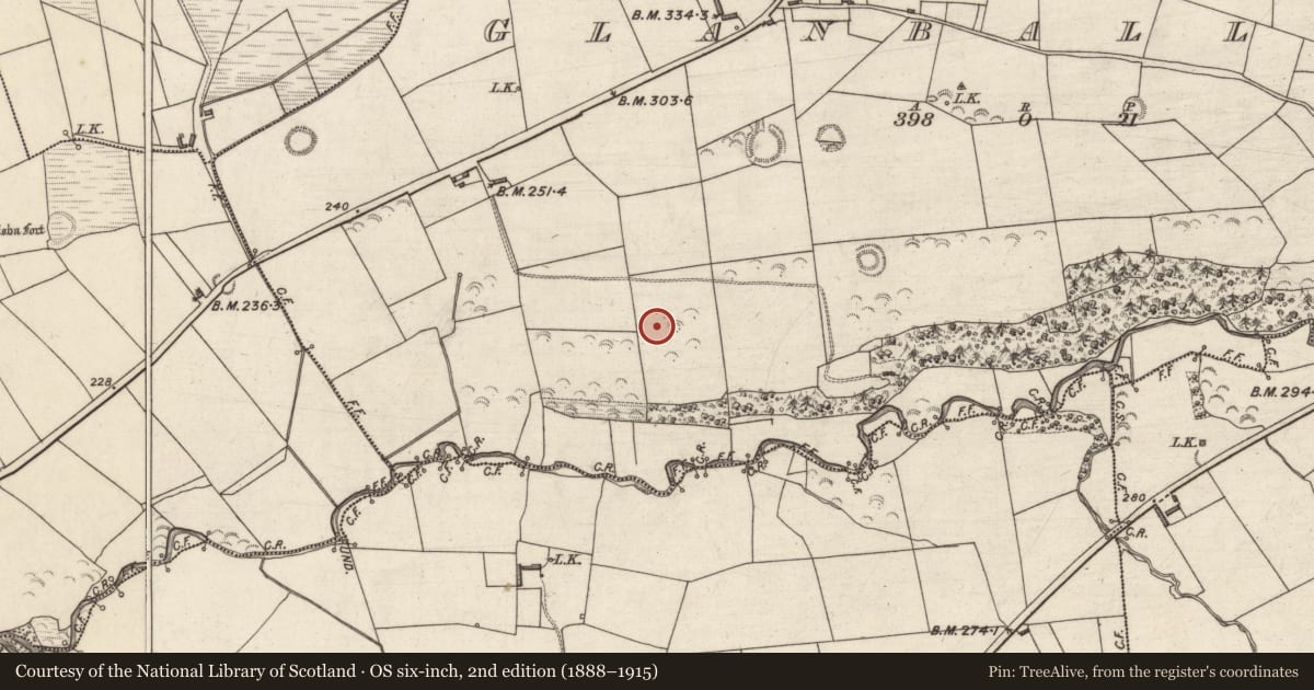 Ordnance Survey six-inch map, 2nd edition (1888–1915) covering the location of Standing stone, Glanballyma, County Kerry, with a pin at the register's coordinates
