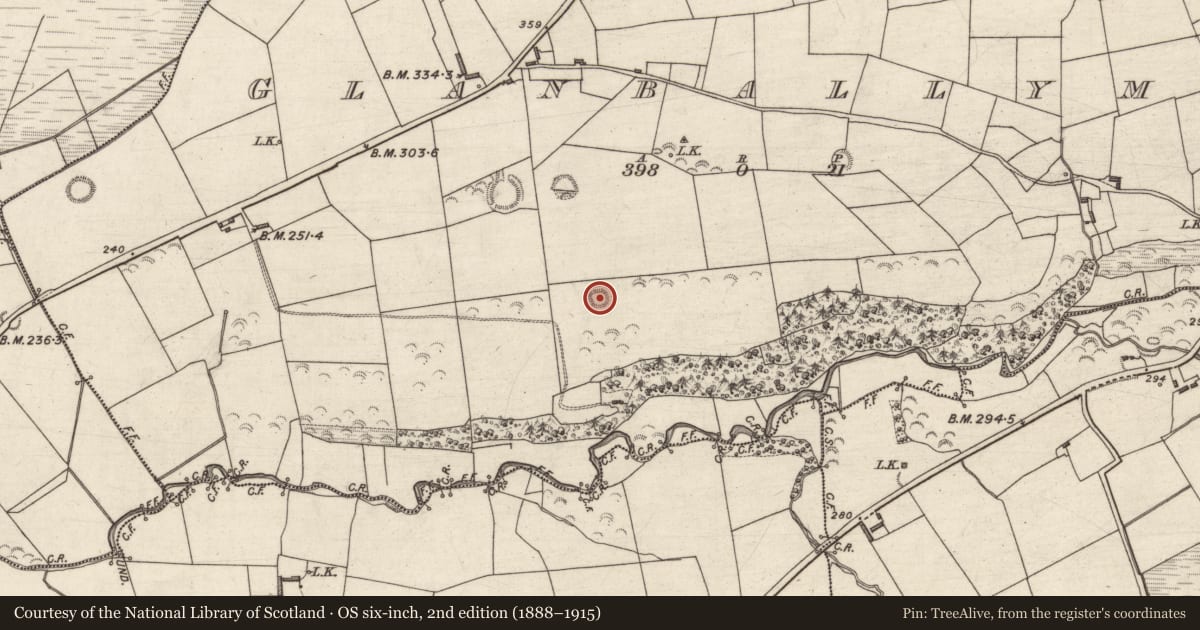 Ordnance Survey six-inch map, 2nd edition (1888–1915) covering the location of Ringfort - rath, Glanballyma, County Kerry, with a pin at the register's coordinates