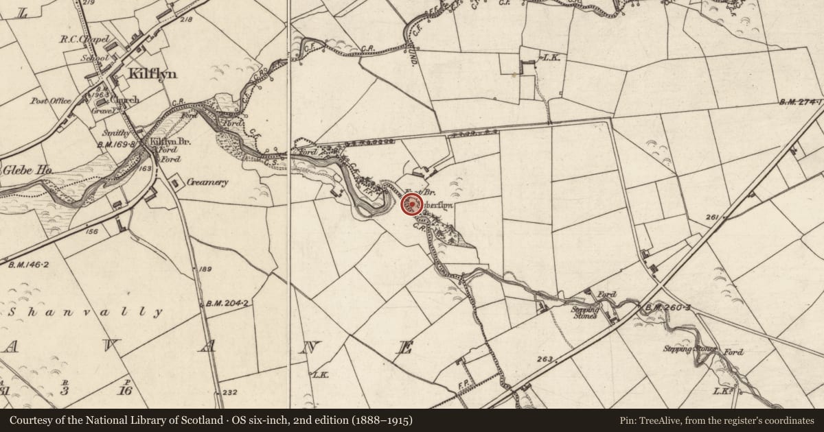 Ordnance Survey six-inch map, 2nd edition (1888–1915) covering the location of Ritual site - holy well, Cloonnafinneela, County Kerry, with a pin at the register's coordinates