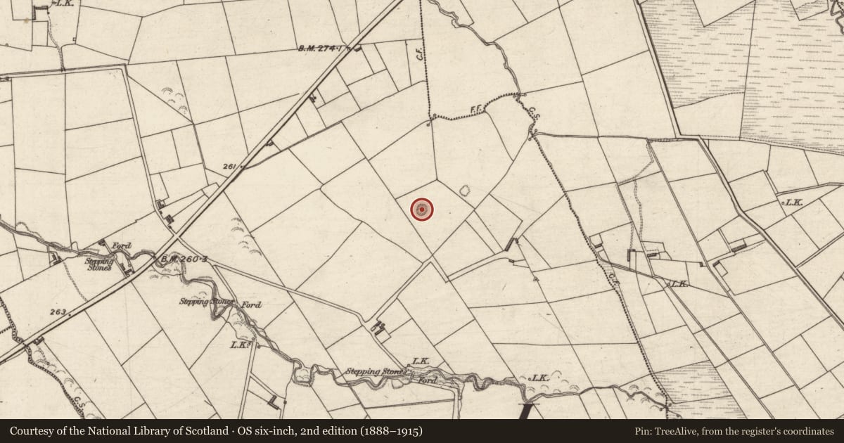Ordnance Survey six-inch map, 2nd edition (1888–1915) covering the location of Enclosure, Cloonnafinneela, County Kerry, with a pin at the register's coordinates